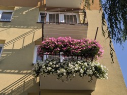 balkon.jaw_